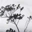 «Meadow a Hand», reproduction d'art encadrée texturée matte sous verre-123331990