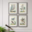 «Pastel Birds I», ensemble de 4 reproductions de cadres photo-1266957733-1266957734