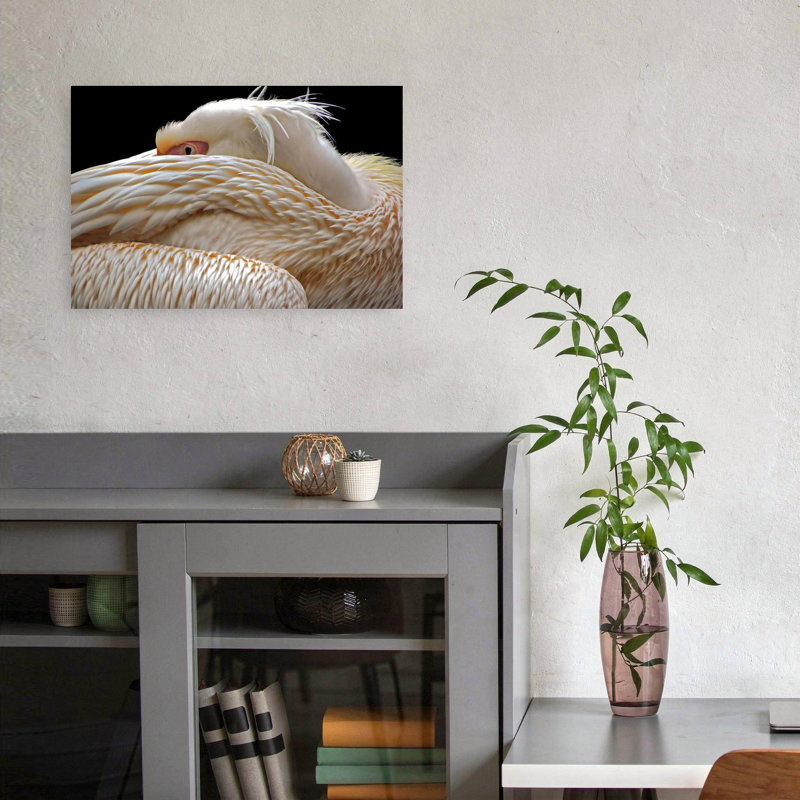 Peaceful White Pelican Elegant Peaceful Serene Bird Pelican Nature Wildlife Wall Art Print by Thierry Dufour - Wrapped Canvas Print