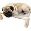 Lit surélevé pour hamac pour chat et chien - Lit en bois pour animal de compagnie avec filet respirant