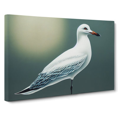 Seagull Portrait Vol.3 - Wrapped Canvas