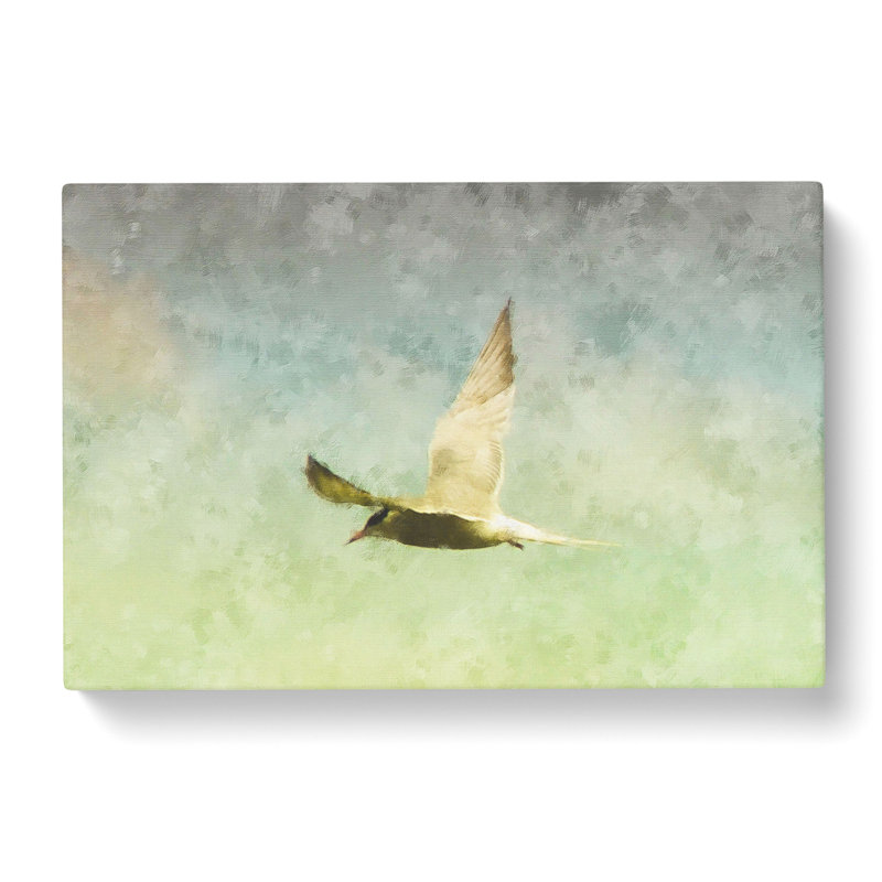 Flying Bird - Wrapped Canvas Painting, 50cm H x 76cm W x 3cm D