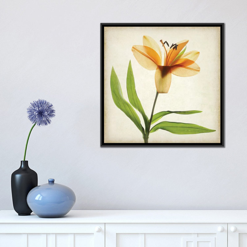 « parchemin floral xi », impression sur toile, H 18 po x l 18 po x P 1,5 po, Toile encadrée noire, Pas de tapis