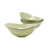 Vert taillis de sauge
