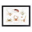 Crabs & Shrimps by Albert I - Framed Print-55620979-55620980