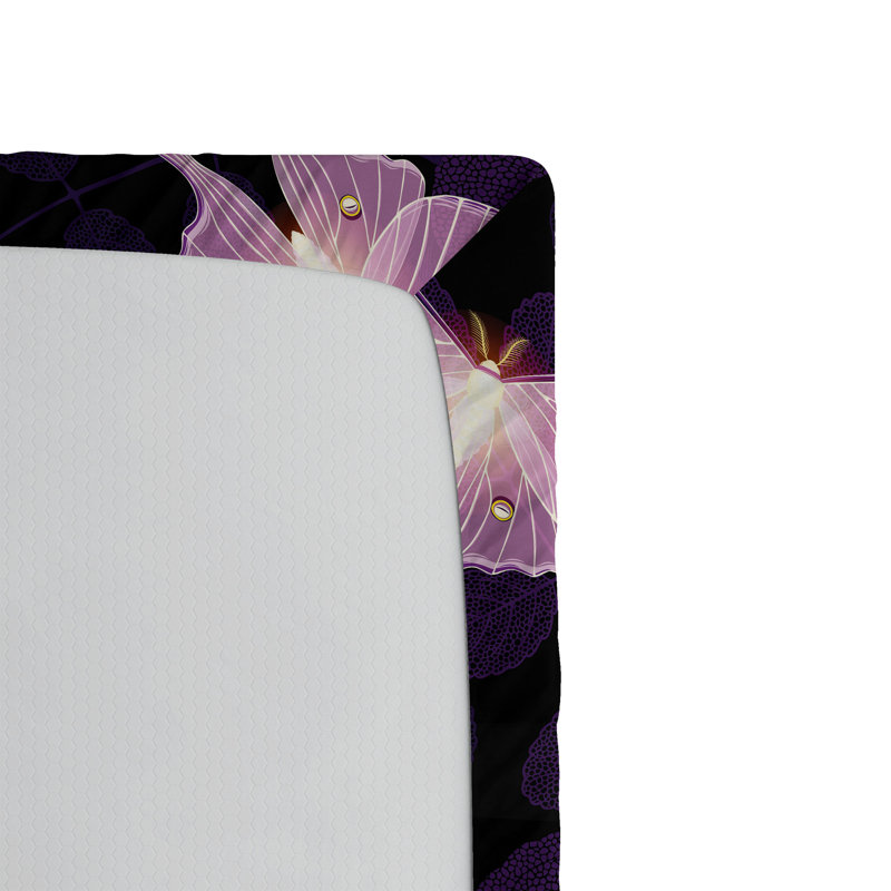 Drap-housse Ambesonne, Queen Fitted Sheet