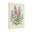 Plantes et fleurs, fleurs bleues rouges, feuilles vertes, impression botanique-894326077