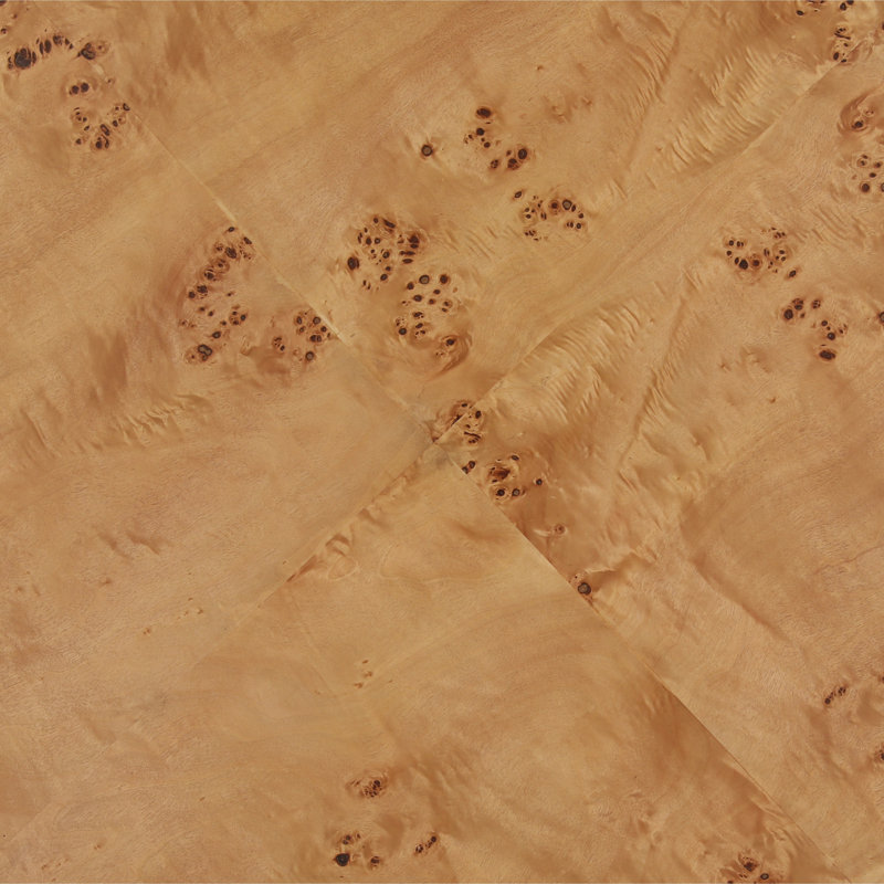 Coffee Table Burl