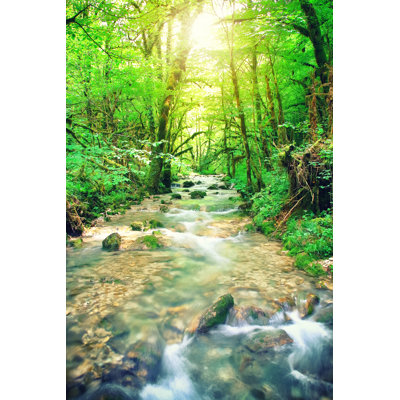 Beautiful Wild Fresh Water Stream In Forest by Gregory_Dubus - Wrapped Canvas Print