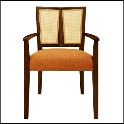 Ensemble de 2 chaises de salle à manger élégantes en rotin avec accoudoirs à dossier, durables et confortables pour les intérieurs modernes