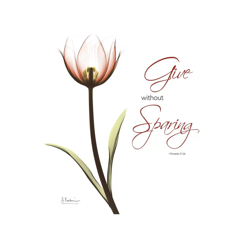 Giving Tulip C69 by Albert Koetsier - Wrapped Canvas Print, 45.72 cm H x 45.72 cm W x 3.175 cm D
