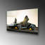 Boze Wall Decor