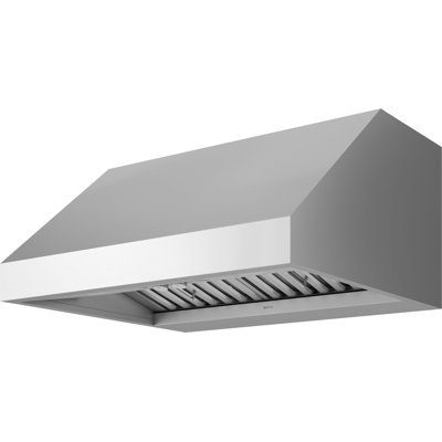 Pro 42" 1200 CFM Wall Mount Outdoor Range Hood in Stainless Steel with Nightlight
