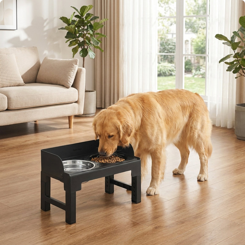 Bols pour chien surélevés Feandrea				, Noir