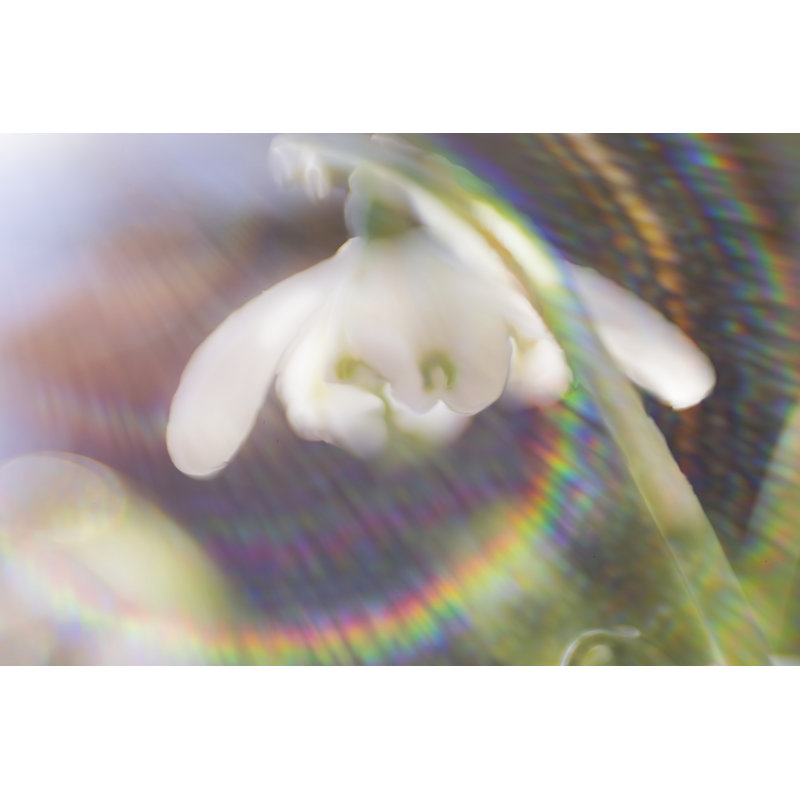 Glorious In Rainbow I by Gillian Hunt - Wrapped Canvas Print, 81cm H x 122cm W