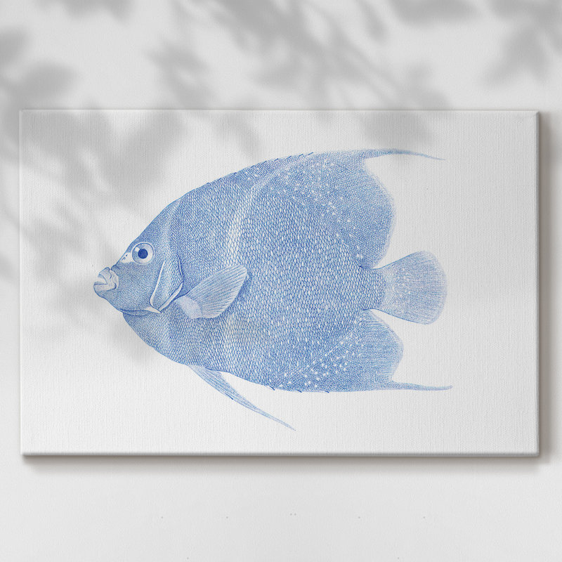 Poisson tropical bleu et blanc - galerie Cavas, 8 x 12