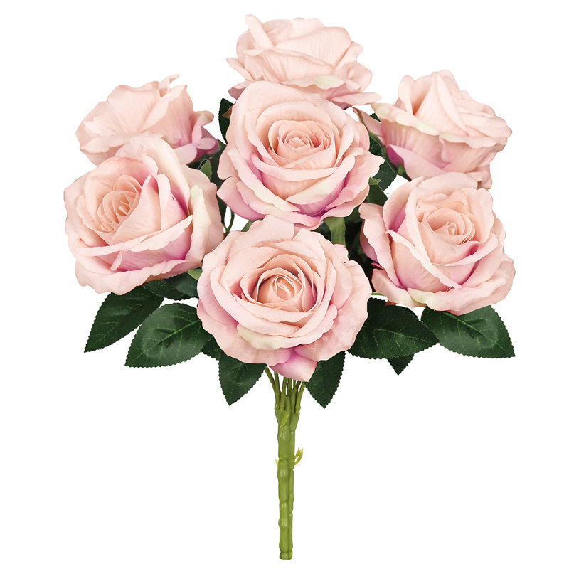Velours rosier, Rosé