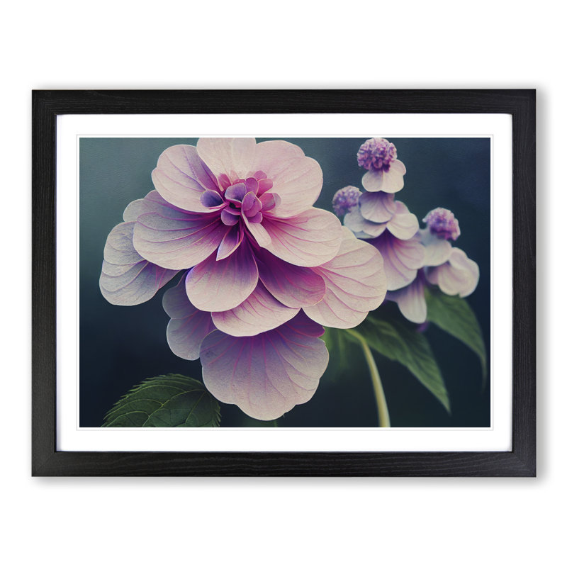 Enchanting Hydrangea Flowers - Single Picture Frame Print, 25cm H x 34cm W x 2cm D, Black Framed