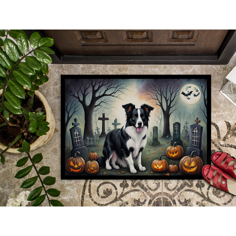 Tapis d'intérieur / extérieur antidérapant 27 po x 18 po Normy