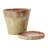 Hillengas Round Cement Planter with Saucer and Distressed Finish-1379896040