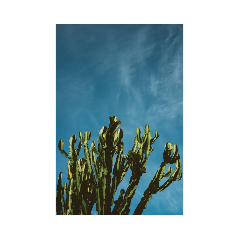 Cactus Sky by Bethany Young - Print on Canvas, 101.6cm H x 66.04cm W x 1.91cm D, Wrapped Canvas