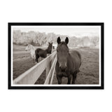 Pasture I