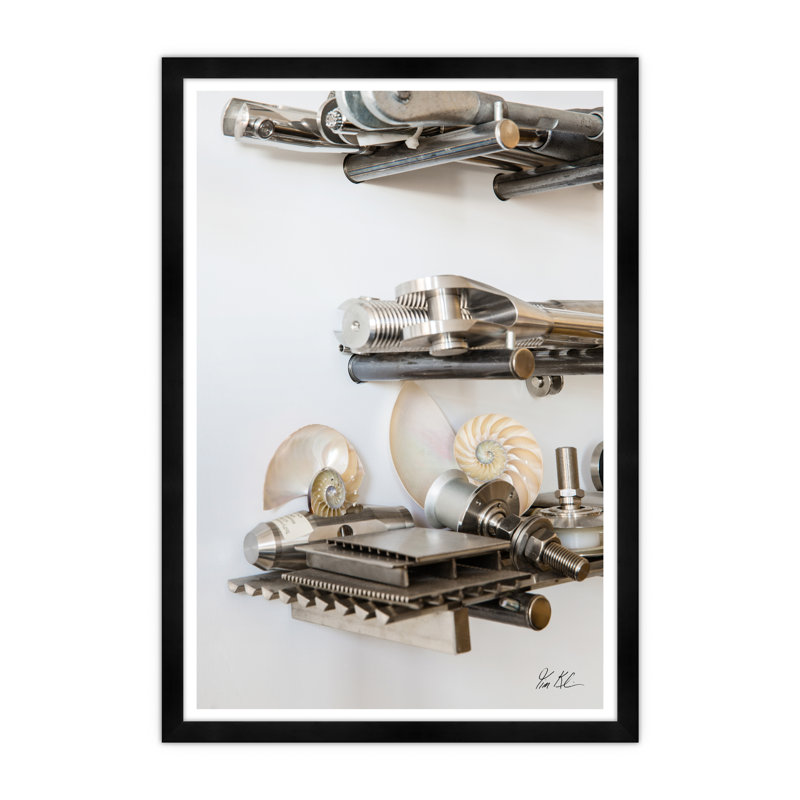 Nautilus Shell And Tools II Print by Tim Klein