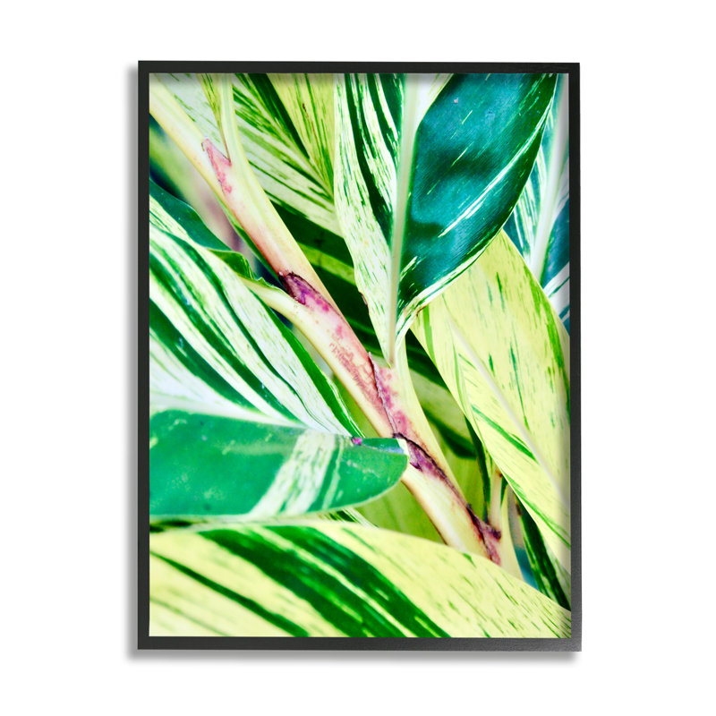 Feuilles de plantes tropicales, Giclée encadrée noir minuit, H 30 po x l 24 po x P 1,5 po