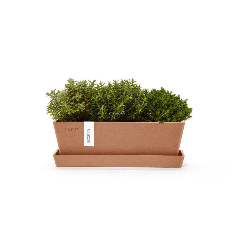 Ensemble de 2 pots à fleurs, Terre cuite