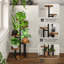 Plant Stand