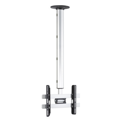 Symple Stuff Single Screen Ceiling Mount