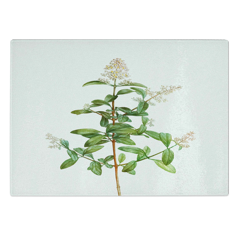 Tempered Glass Wild Privet Flowers by Pierre-Joseph Redoute Chopping Board, 39 cm W x 28.5 cm L