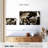 Abarca Collage Jazz-107878056