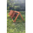 Wooden Small Triangular Chicken Coop With Resting Area & Wire Mesh Activity Zone