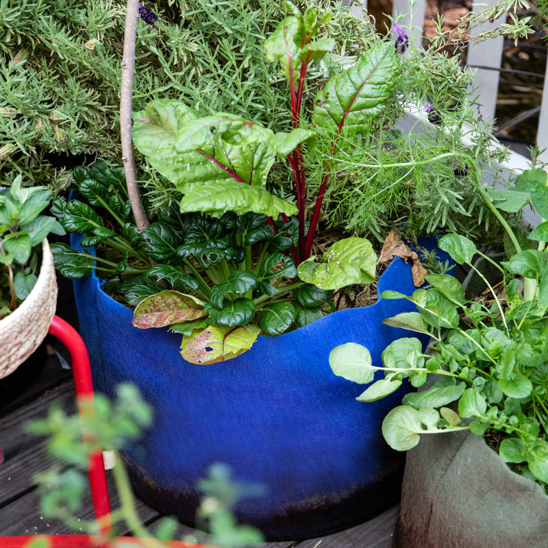 Jardinière en tissu Smart Pot®, 15,5 x 20 x 20, Bleu