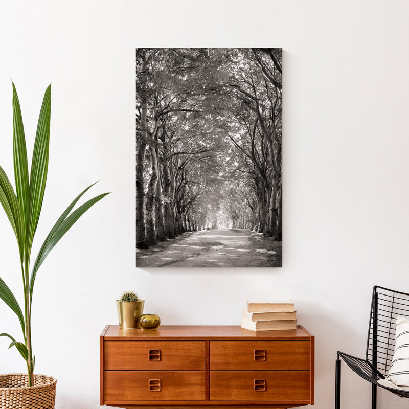 «Black and White Tree Path», reproduction de photo sur toile tendue
