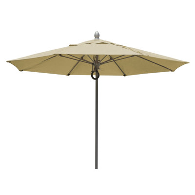 Parasol Wilhide