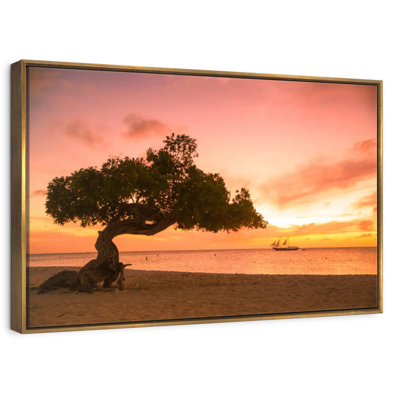 Arbre Divi Divi Aruba, 46 po x 31 po, Cadre flottant doré
