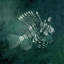 Marine Collection I Print-26945445-26945446