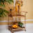 Trolley Pescara Rattan