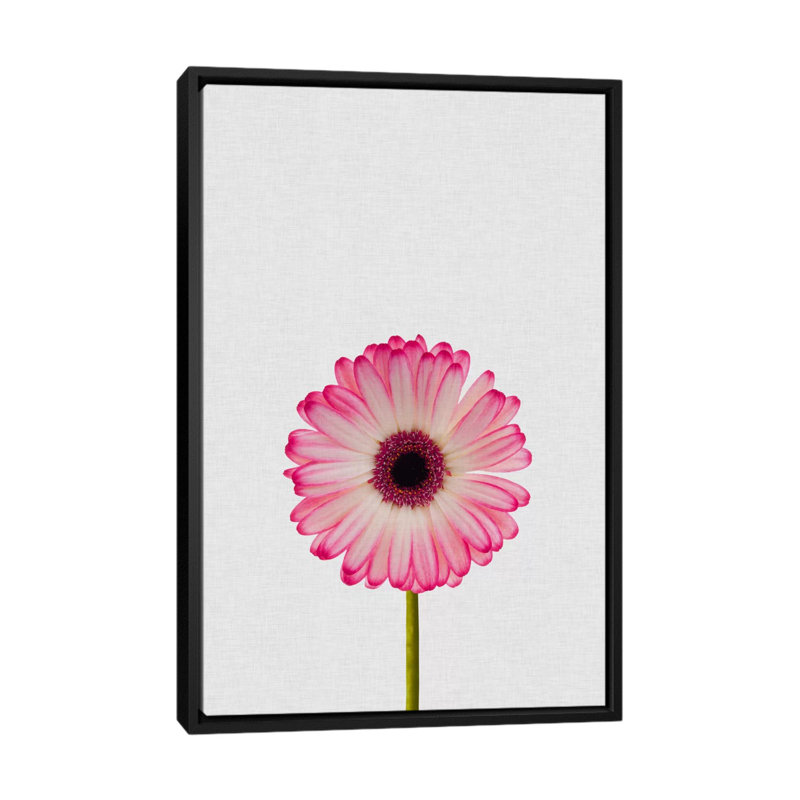 «Daisy», impression sur toile, H 26 po x l 18 po x P 1,5 po, Toile avec cadre noir, Pas de tapis