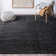 Sisler Performance Indoor Rug