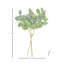 Ensemble de verdure 19 po-1331419037