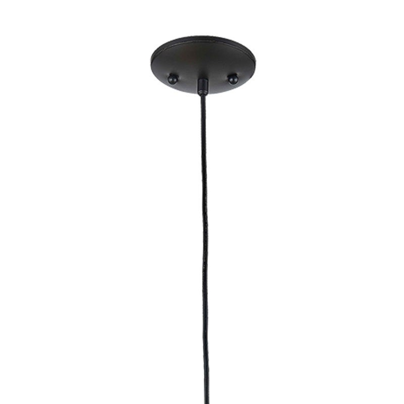 Luminaire suspendu d'extérieur 1 lumière, Noir mat