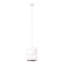 Gobi 1 - Light White Pendant