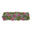 Sedum and Moss Arranged in Wood Planter-1619821988