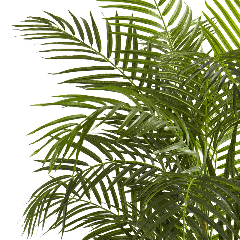 Areca Palm Tree in Pot, 30" H x 24" W x 24" D
