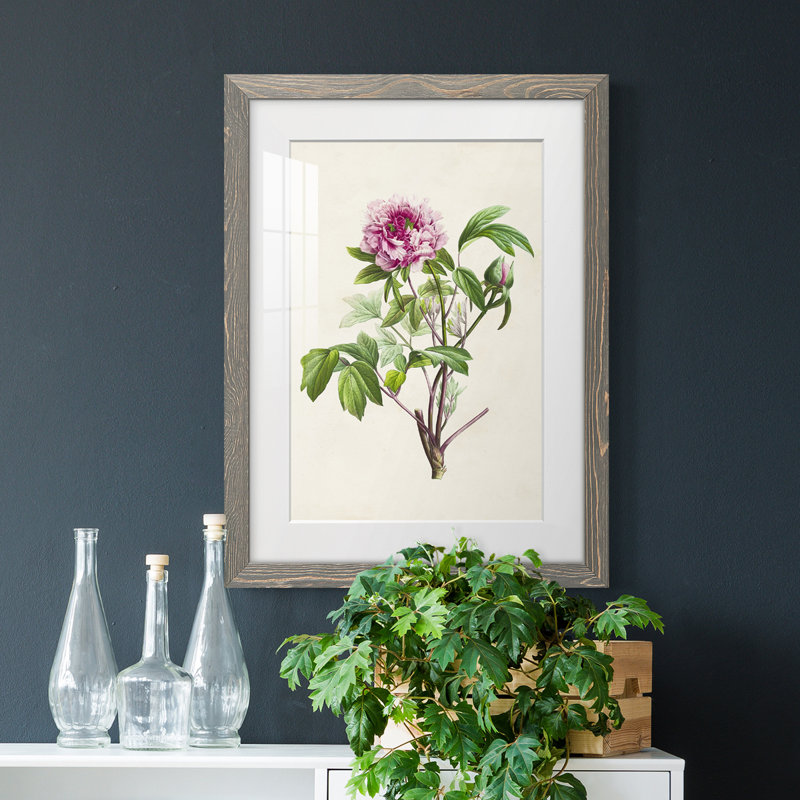 «Pretty Botanicals V», cadre photo, H 24 po x l 20 po x P 1 po, Cadre gris