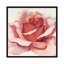 « magnificence iv », impression sur toile-29483293-73576139-73576140