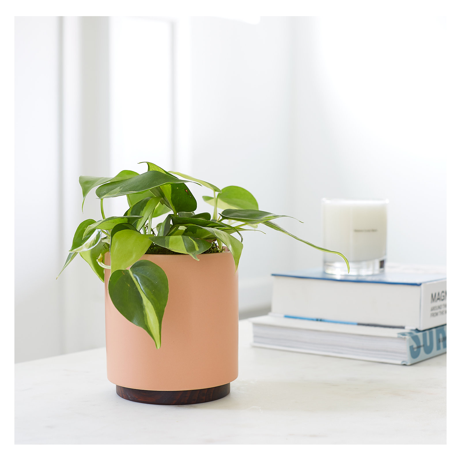 Byer Handmade Ceramic Pot Planter, Peachy Cotta